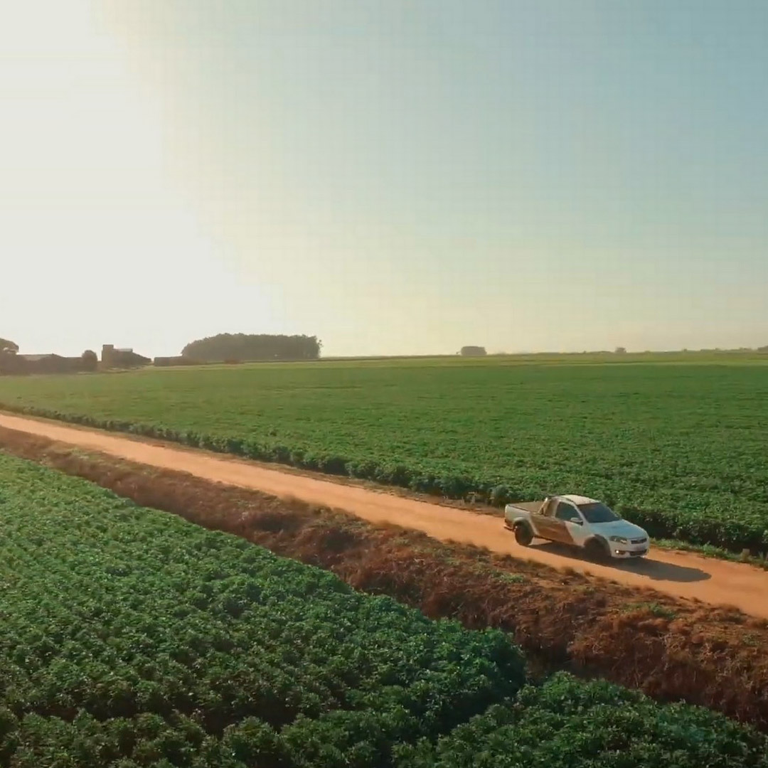Potencial agrícola