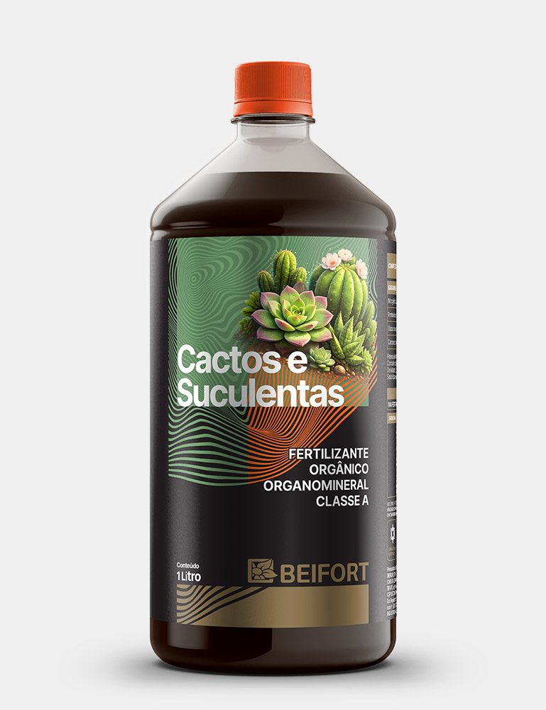 Cactos e suculantas