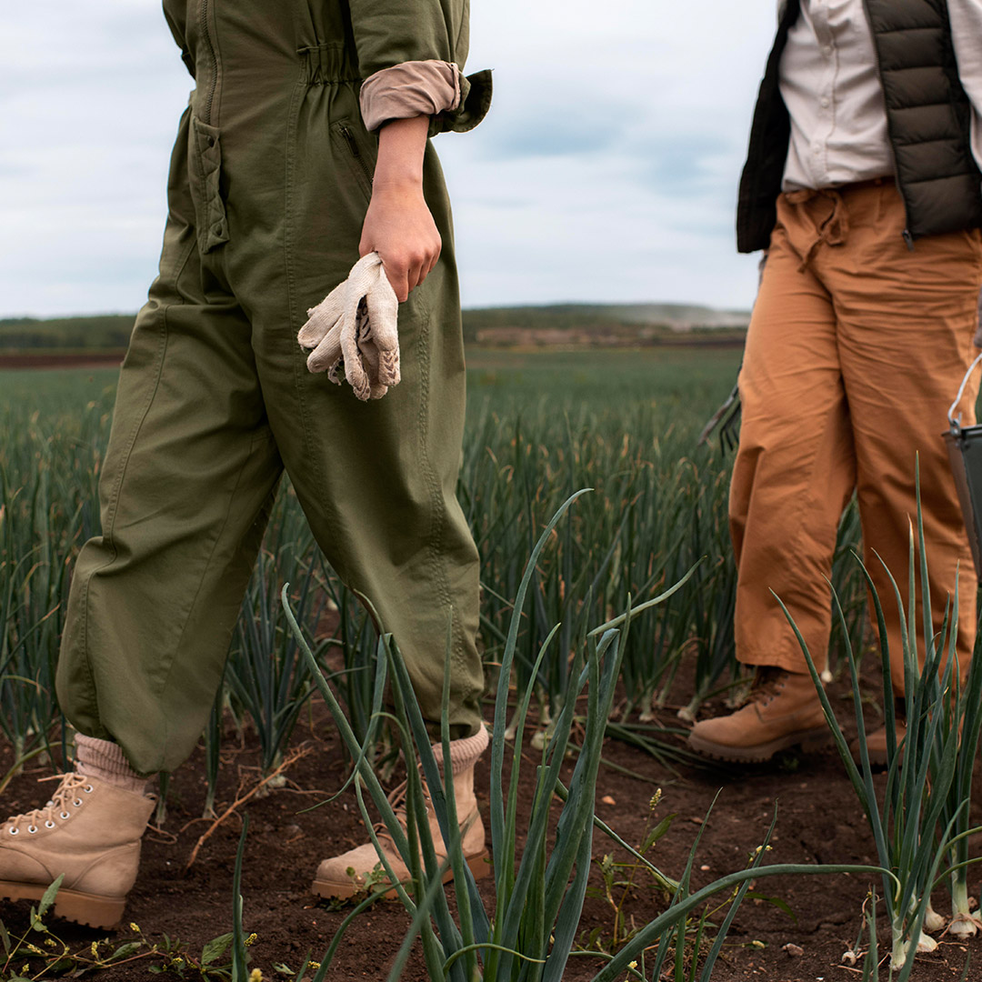 Inoculantes