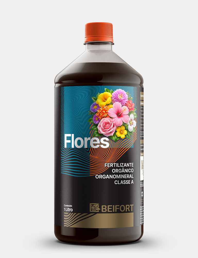 Flores