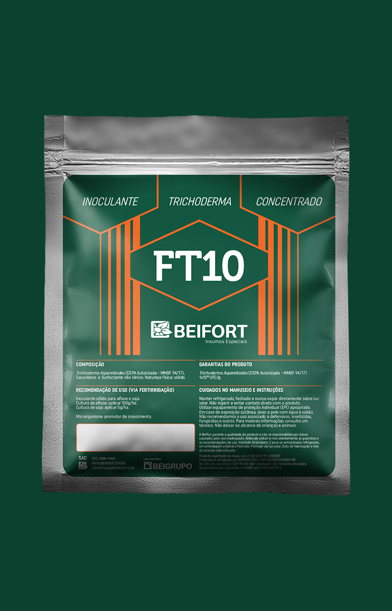 FT10
