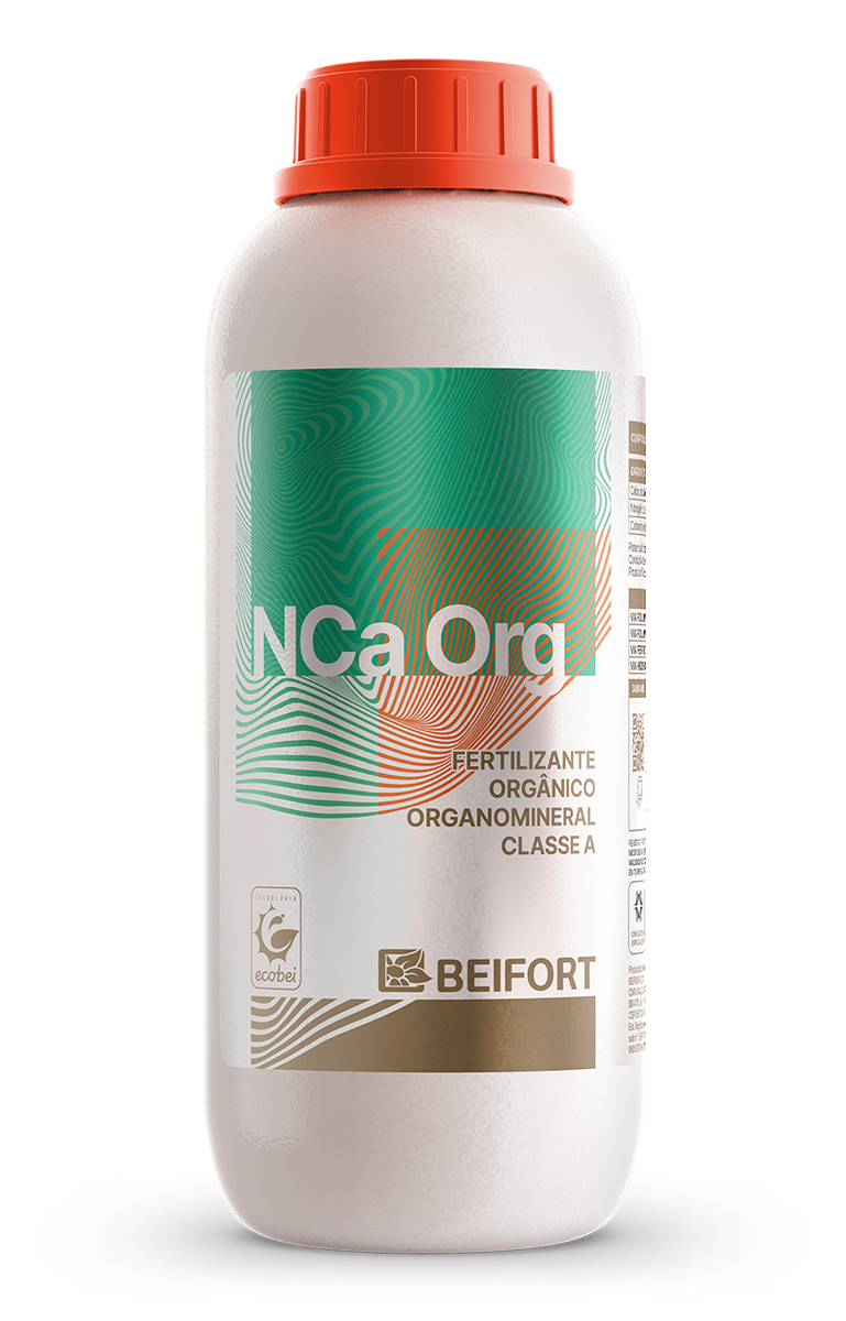 Nca Org