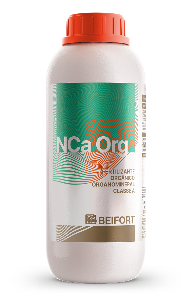 Nca Org