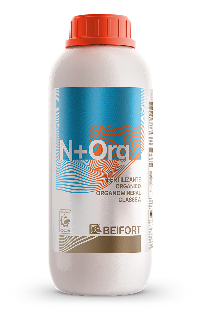 N+ Org