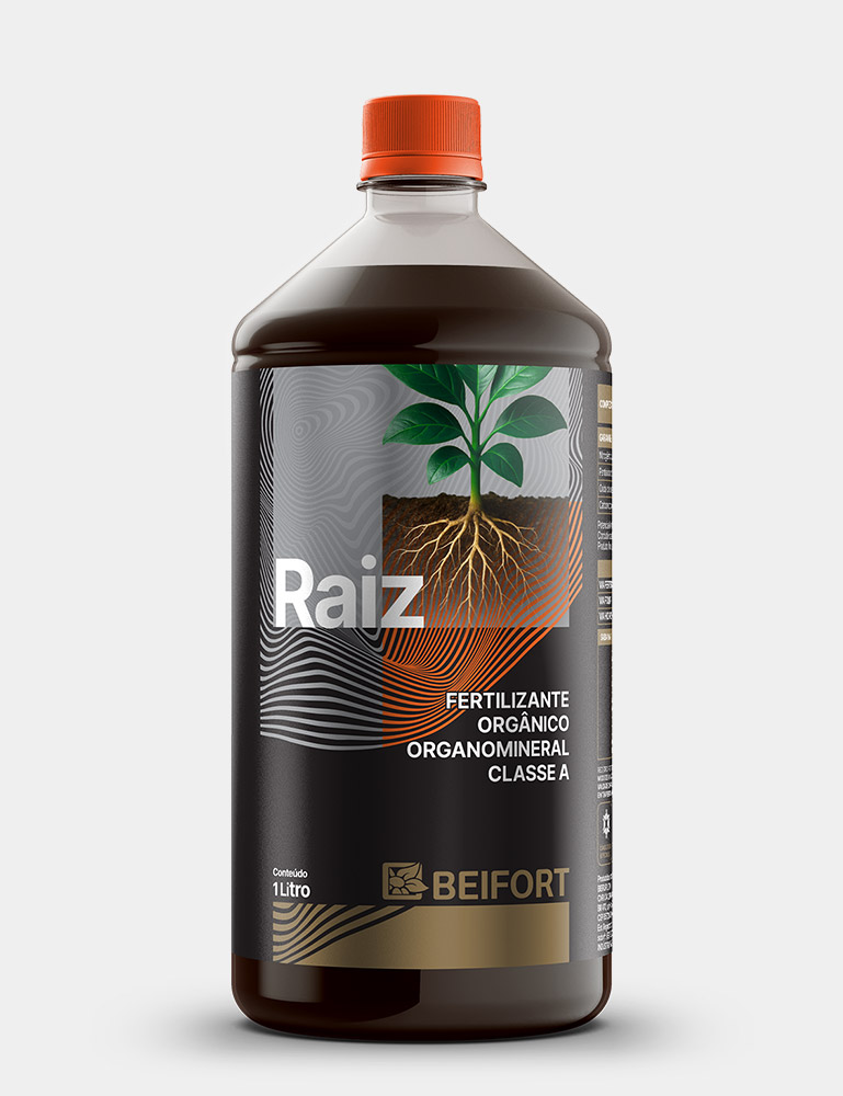 Raiz