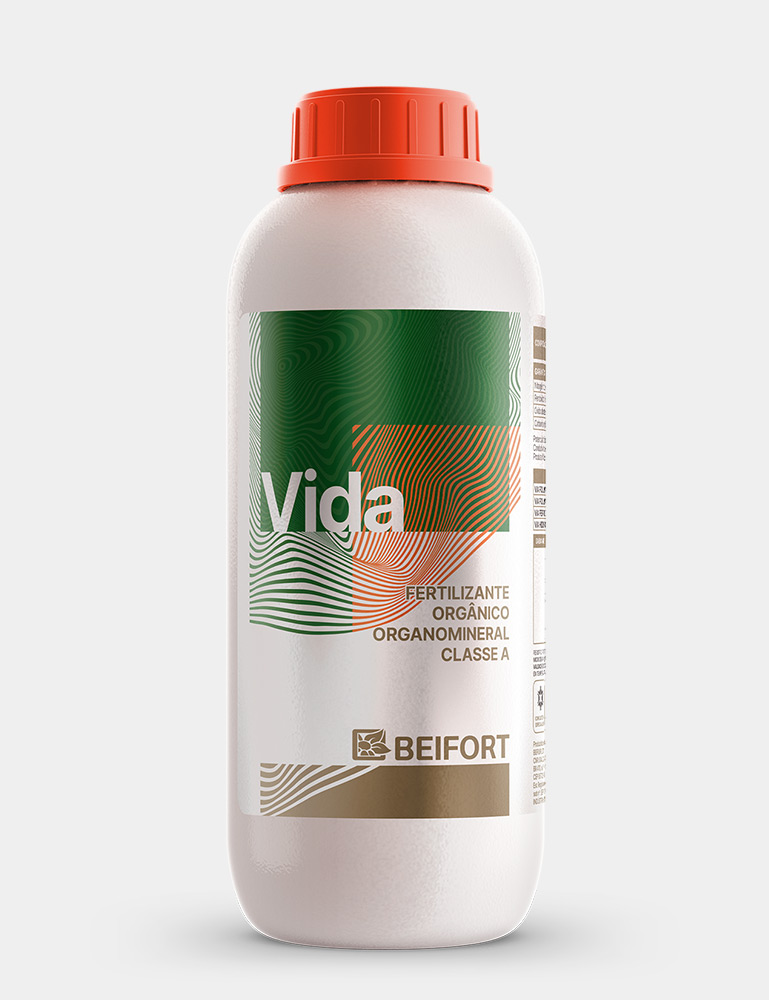Vida
