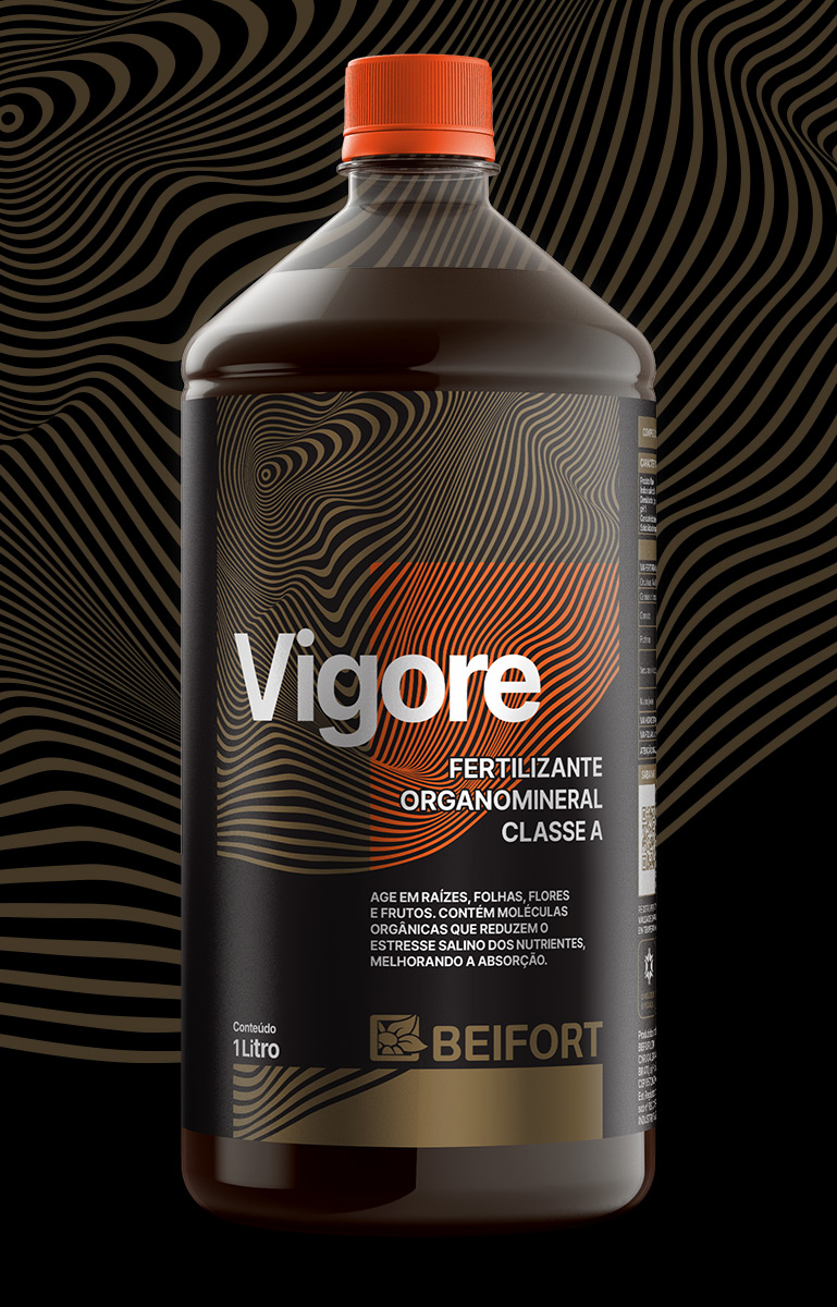 Vigore